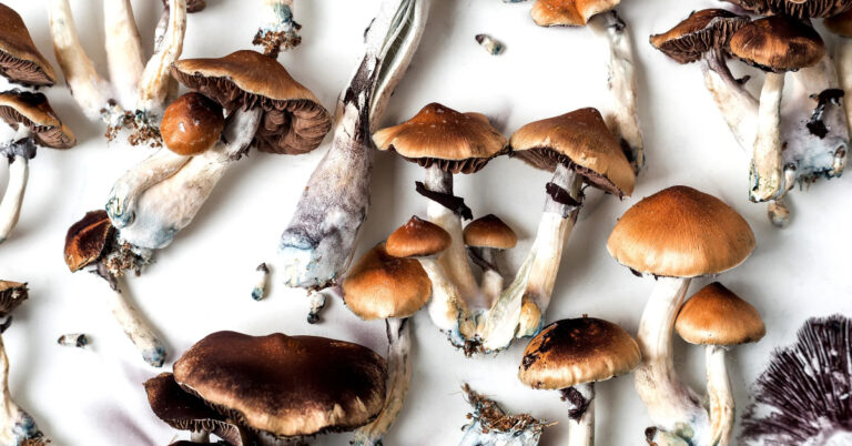 How Long Do Shrooms Last? Your Comprehensive Guide