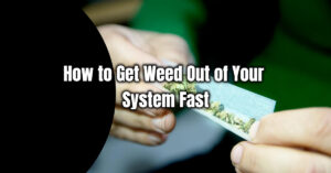 How to Get Weed Out of Your System fast