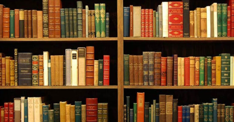 Timeless Classics: The Best Books You Need to Read