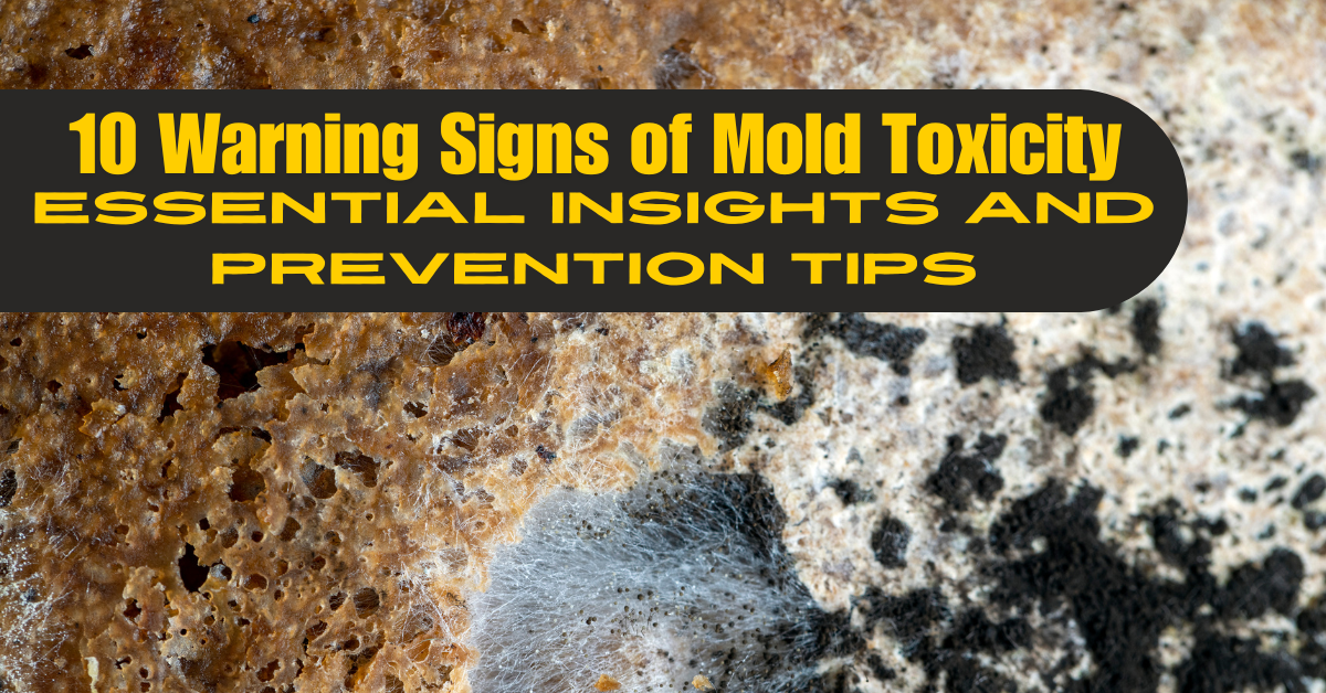 10 Warning Signs of Mold Toxicity: Essential Insights and Prevention Tips