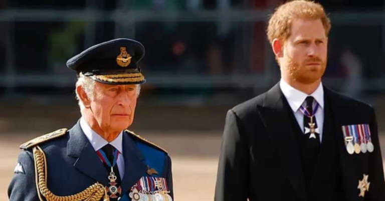 Prince Harry Receives Kind Advice About Meeting King Charles